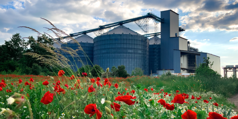 Biomass plant behind field of poppies